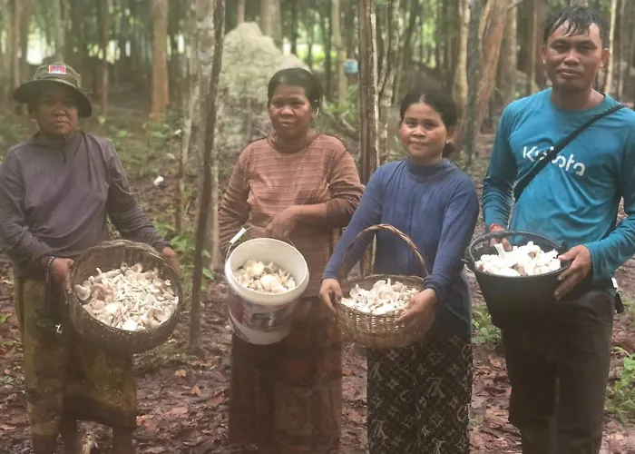 Kwatera prywatna Chansor 2 By Homesteading *