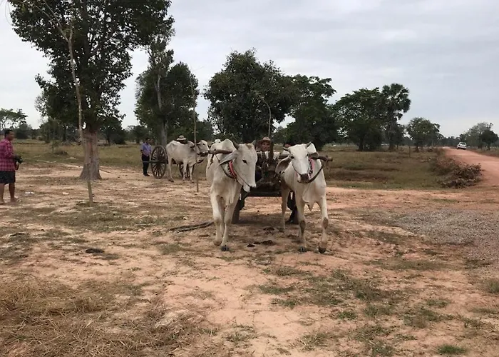 Kwatera prywatna Chansor 2 By Homesteading Siem Reap