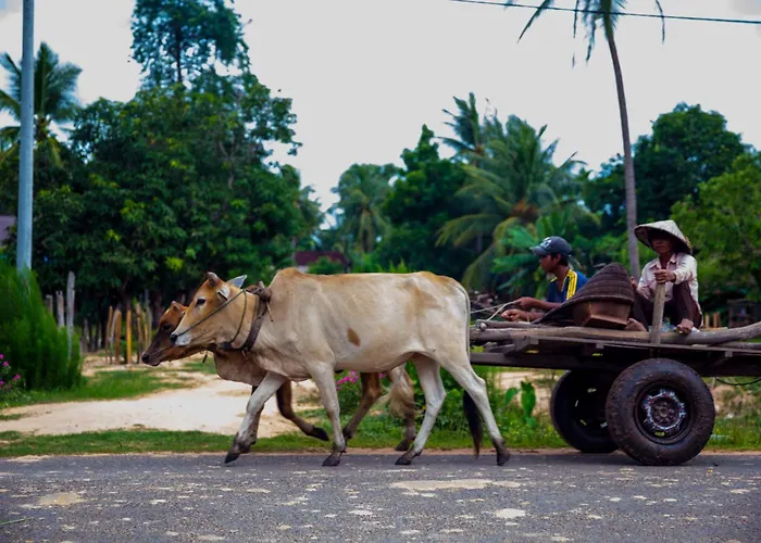 Kwatera prywatna Chansor 2 By Homesteading Siem Reap