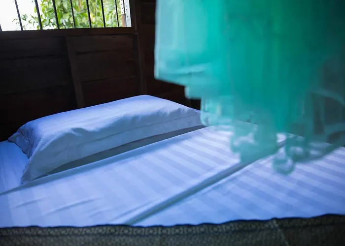 Kwatera prywatna Chansor 2 By Homesteading Siem Reap